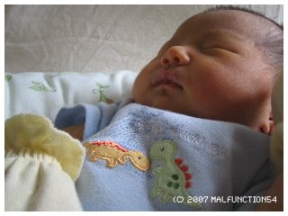 dino baby